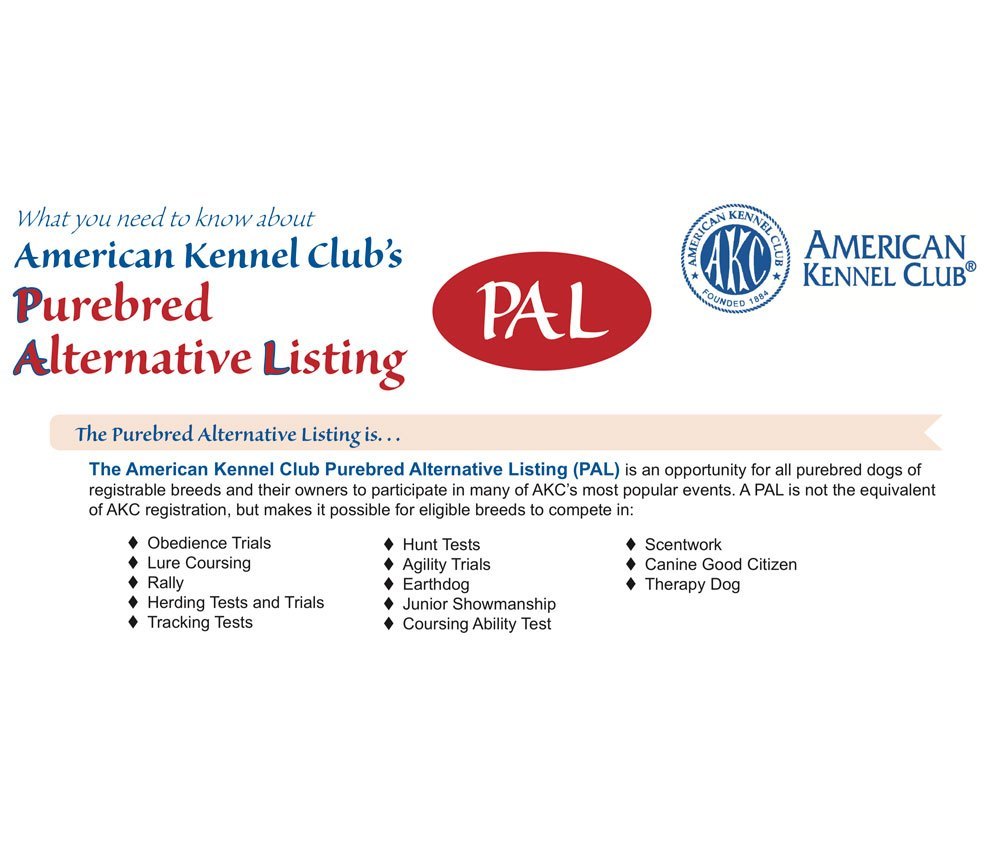 LWL17 Registering A Dog With AKC's Canine Partners Program & AKC PAL