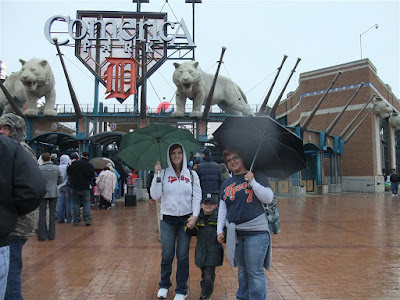 comerica park, rain delay, tigers baseball game
