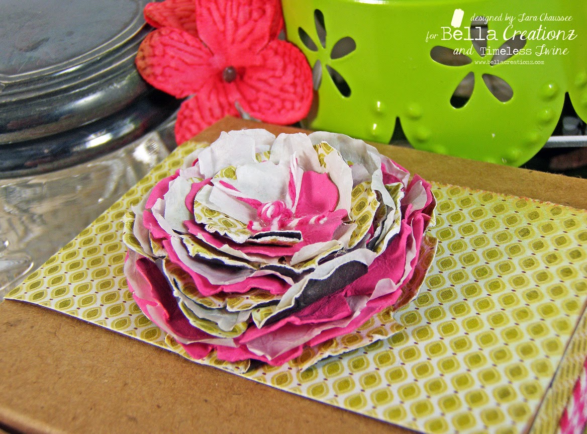 Twineology by Timeless Twine Twine Gift Box!