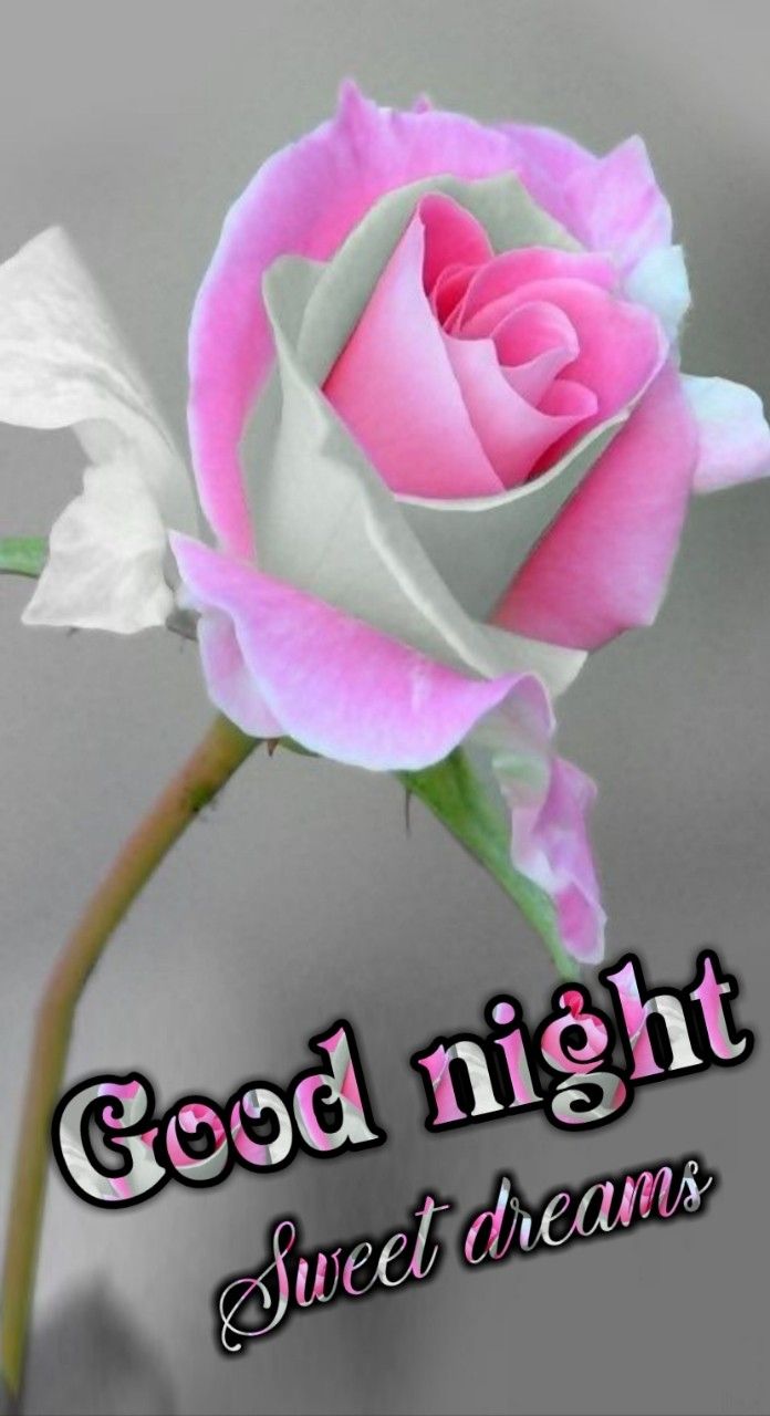 good morning sms with love