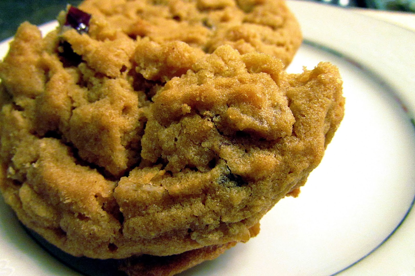 Southern Sweets and Eats Cranberry Peanut Butter Oatmeal Cookies