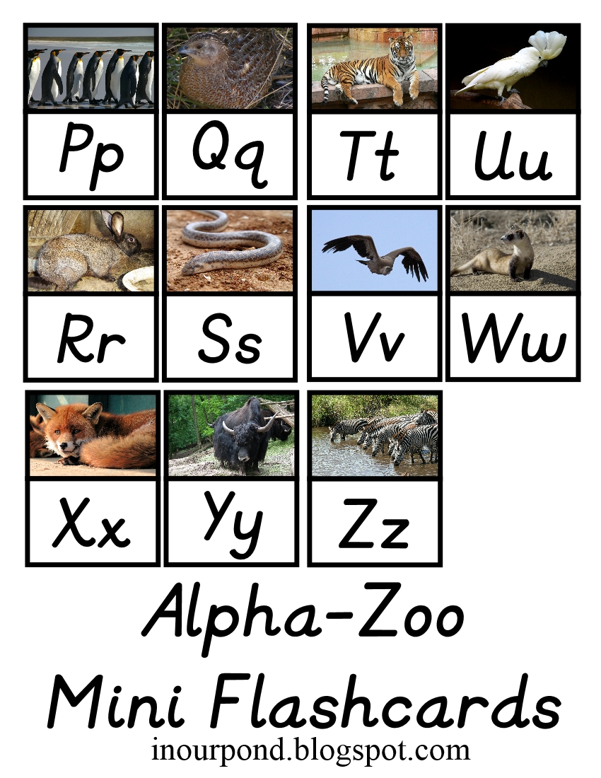 Zoo Phonics Chart