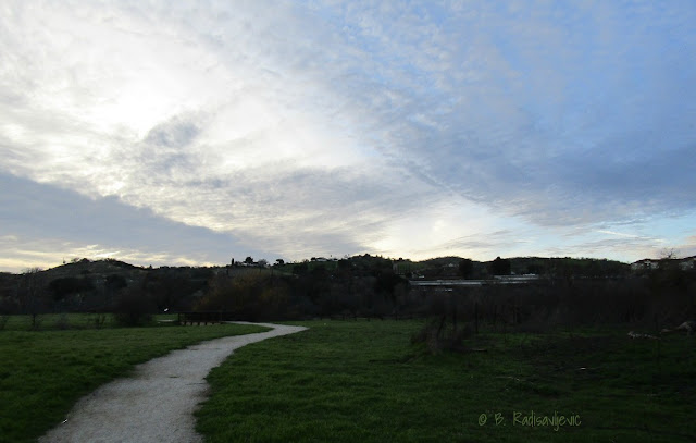 Rain, Rain, and More Rain in Paso Robles, January 2017