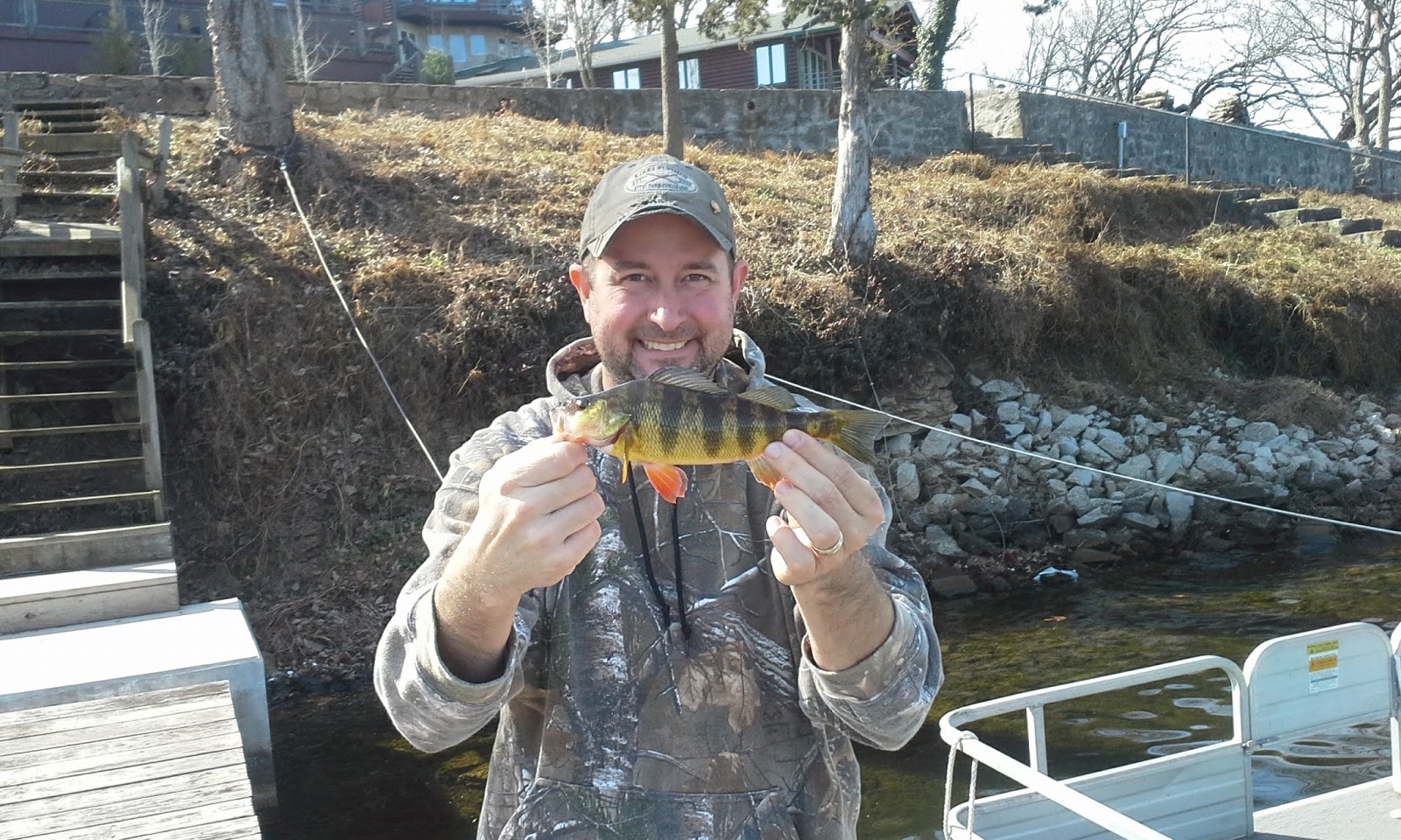 The Show Me Fly Guy Yellow Perch in Missouri?