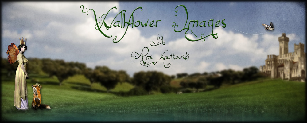 Wallflower Images