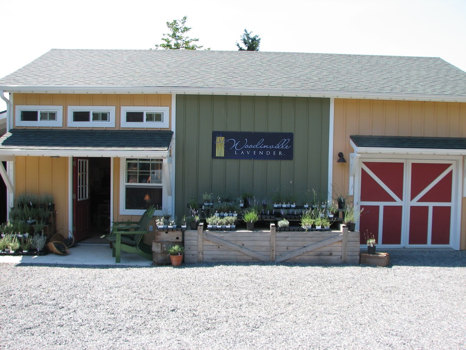 S/V Wand'rin Star All Around Seattle Woodinville, Renton, West