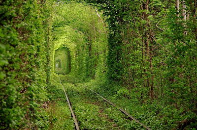 Tunnel-of-Love-Klevan-Ukraine-beautiful-places