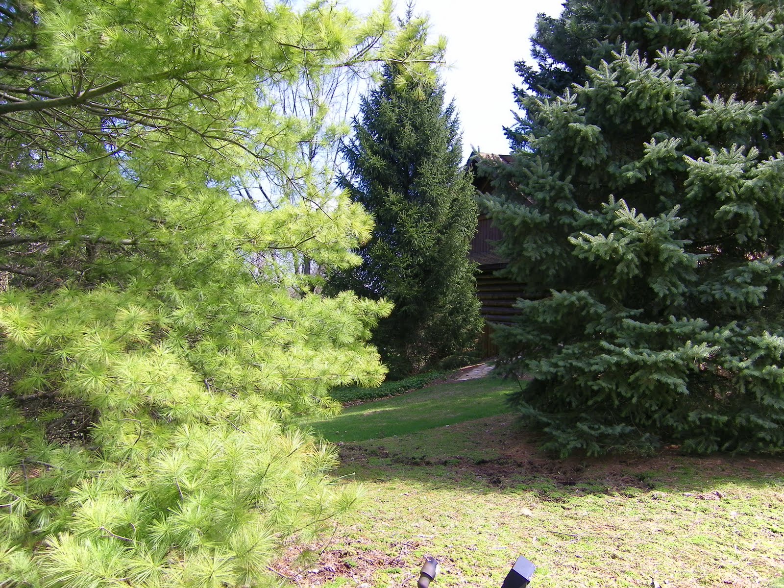 McHenry County Illinois Real Estate UNIQUE LOG HOME IN THE COVES, CARY