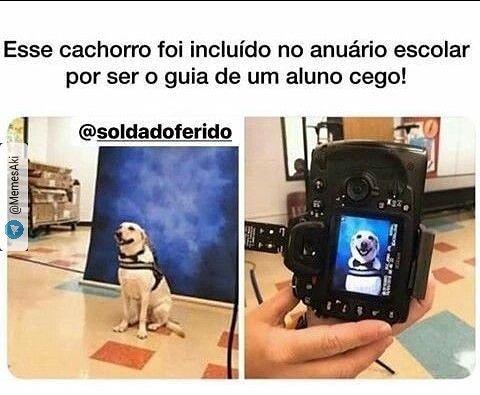 Memes engraçados Memes engraçados