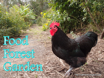 eight acres: permaculture integrate rather than segregate