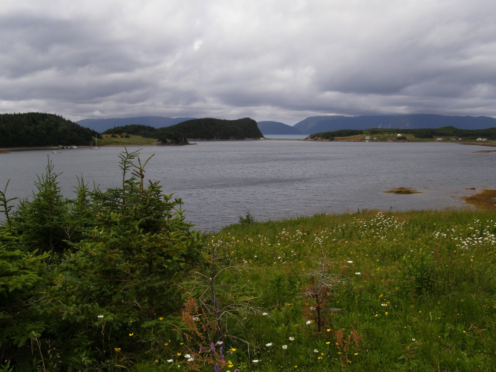 Northern Exposure 2012 Last Day at Woods Island, Bay of Islands