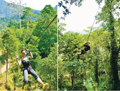 Tree Top Park: Aerial adventure in Koh Chang