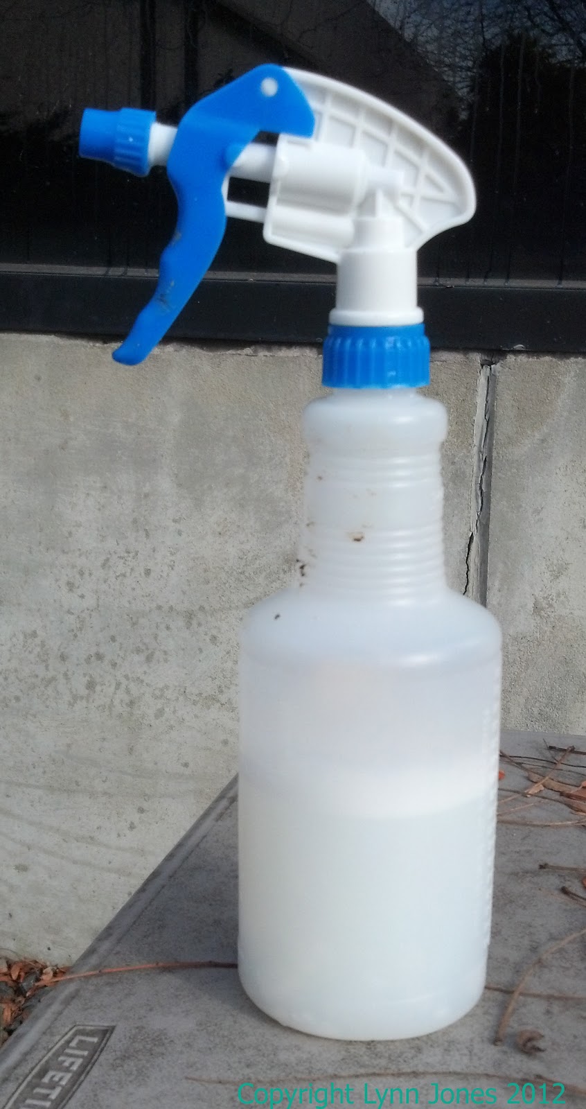 Water Squirt Bottle 19