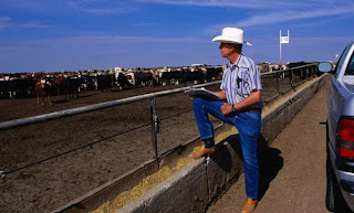 Lugares de interes Ruta 66 en Texas, Ruta-USA (9)