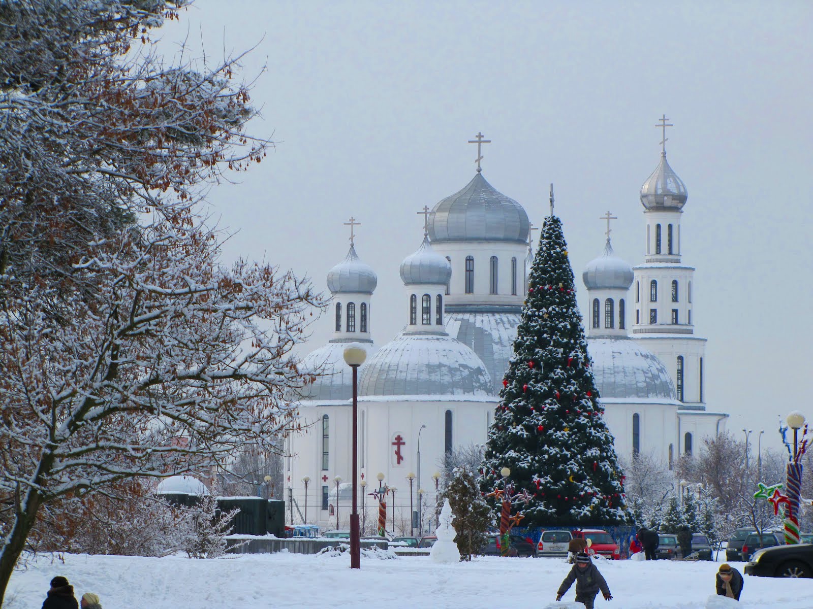 брестская крепость зимой