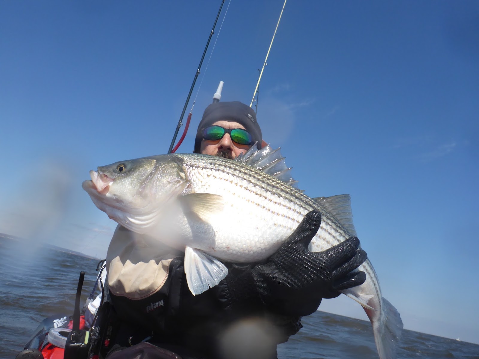 new jersey fishing report fishing new jersey NJ fishing fishing
