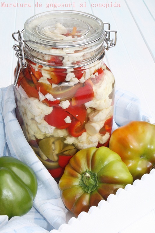 Muratura de gogosari si conopida conservata la rece