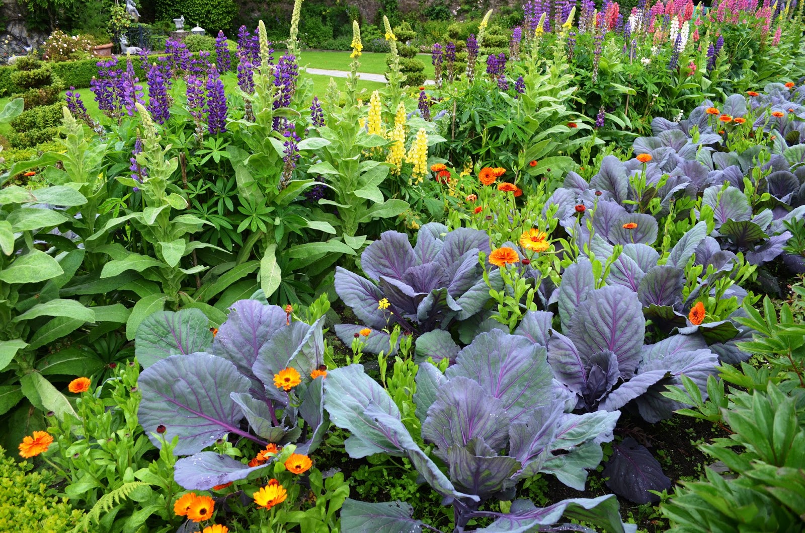 Kelli's Northern Ireland Garden Irish Castle Gardening