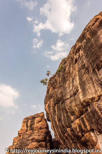 Badami Cave Tree on Rocks