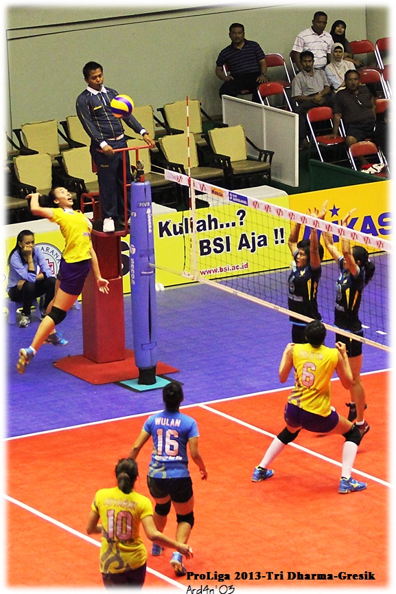 Image Result For Proliga Image Result For Proliga