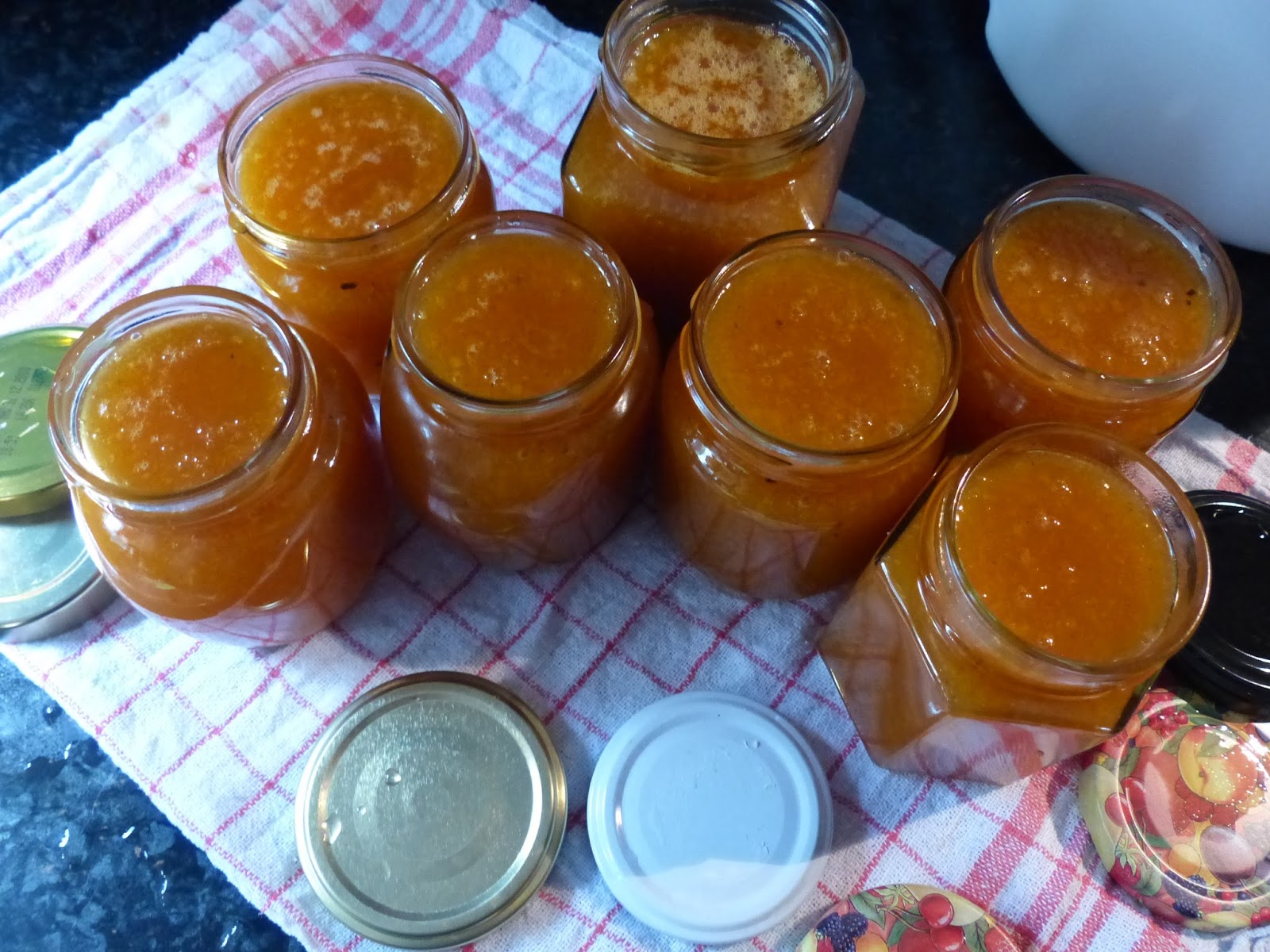 Verboten gut ⚠: Aprikosen ~ Vanille ~ Marmelade