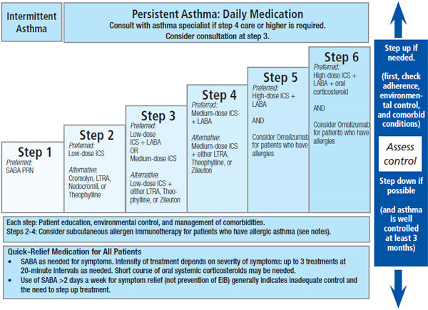 10 Steps to asthma self Help - Natural Health