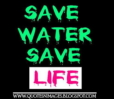 Save Water Quotes 17