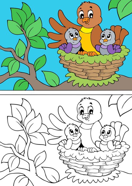 Featured image of post Desenhos Para Colorir De Passarinhos Fofinhos Seus her is preferidos para imprimir