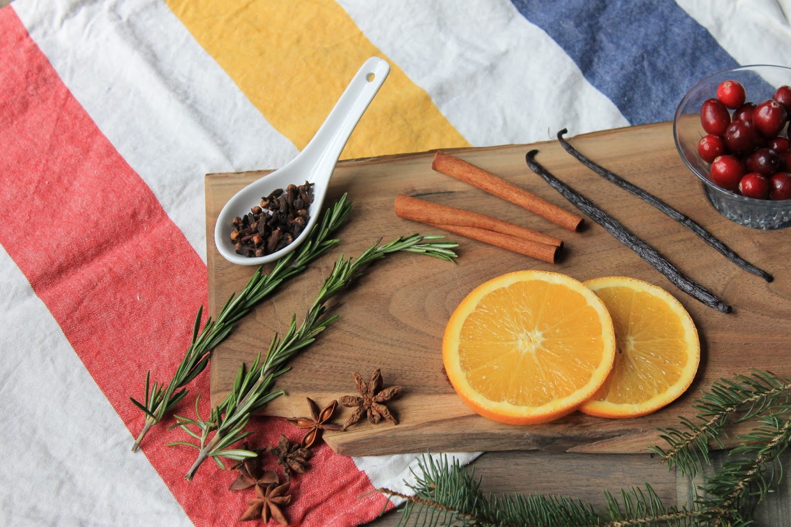 Easy to Make Cinnamon Citrus Holiday Air Freshener Simmer Pot