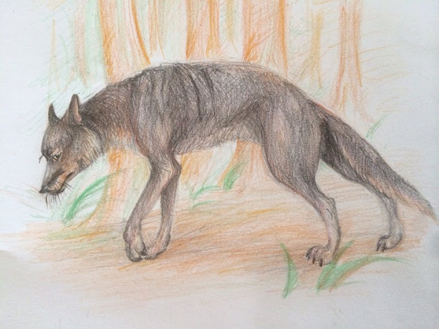 Ringdocus Kriptozoológia - Az állatvilág rejtélyes oldala: Shunka Warak'in ...