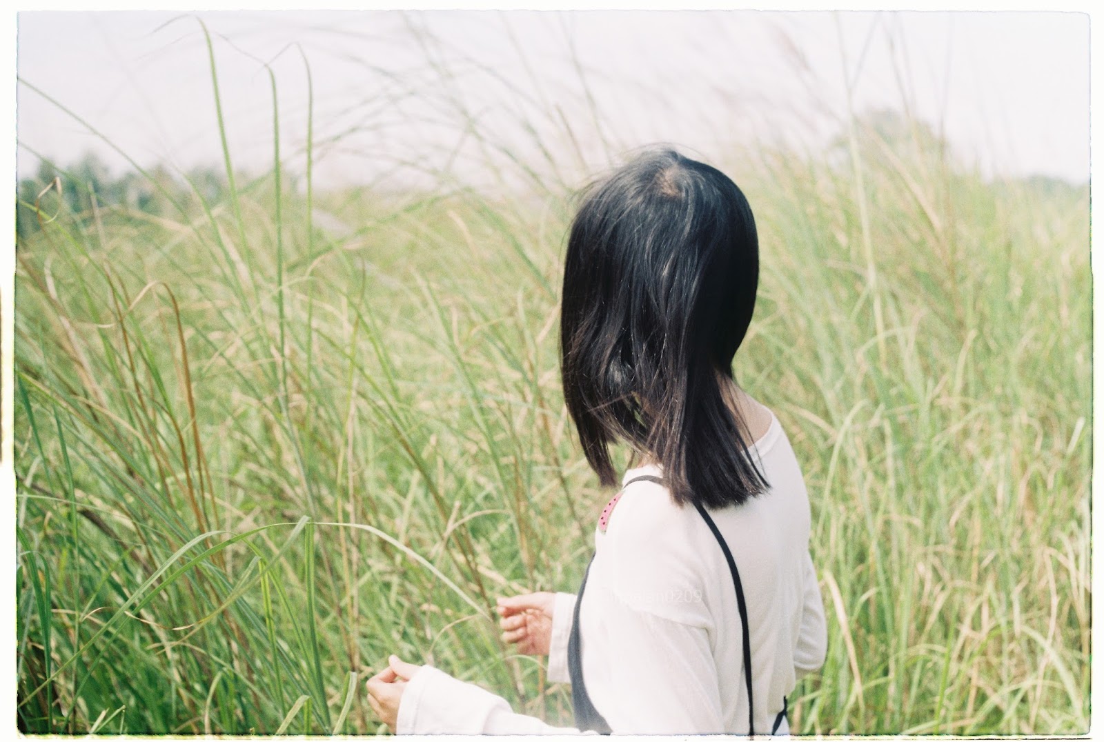 SONGS - Wild and Young