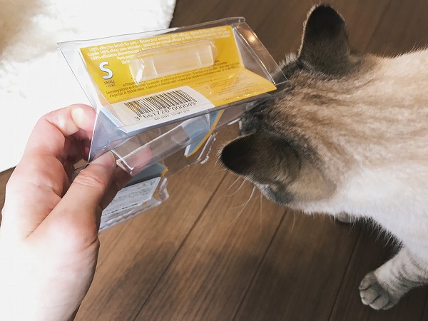 パッケージの角に頭をこすりつけるシャムトラ猫