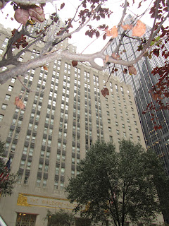 Desayuno en Nueva York y un Paseo por Washington - Blogs de USA - QUINTO DÍA-23 Octubre: MIDTOWN Y 5TH AVENUE (13)
