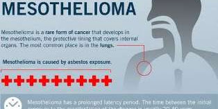 What is Mesothelioma Cancer ?