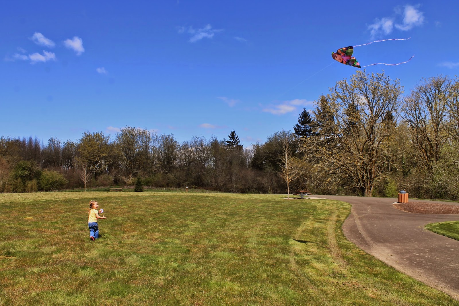 Life in Vancouver Let's Go Fly a Kite, Up to the Highest Heights
