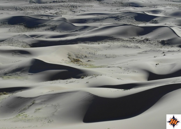 Deserto del Gobi. Khongoryn Els Deserto del Gobi. Khongoryn Els