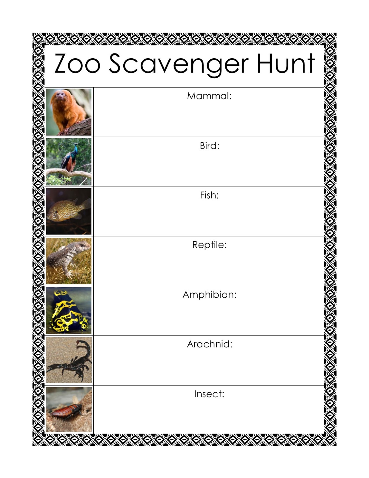 Montessori-Inspired Zoo Scavenger Hunts w/ Free Printables (Learn & Play  Link Up) - Every Star Is Different