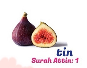 Buah Tin Tin