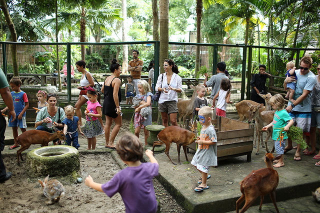Menikmati Wisata Keluarga Bali Zoo Park Gianyar