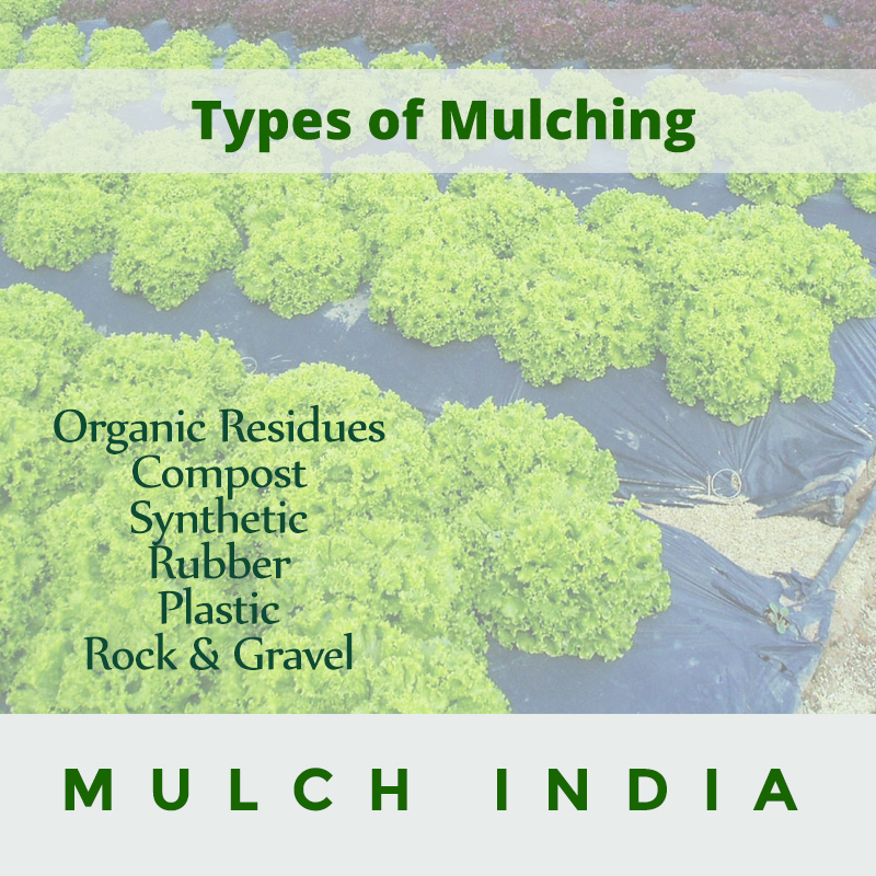 MulchIndia types of mulching