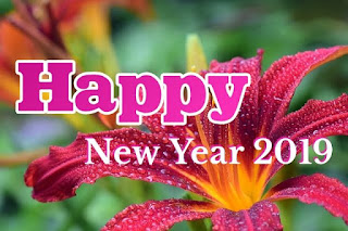 Happy New Year Greeting Card happy-new-year-greeting-card