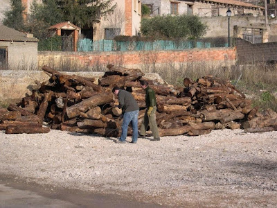 Sant Antoni 2009 fotos de Lluis Belsa 7