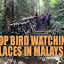 Top Bird Watching Places in Malaysia