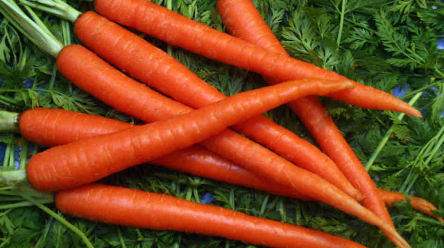 ब्रेस्ट कैंसर जैसी खतरनाक बीमारी से बचता है गाजर