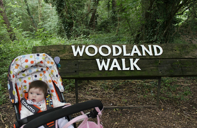 Tropical Birdland Leicestershire Review Tropical Birdland Leicestershire Review