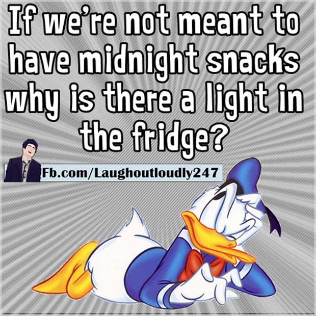 Why is there a light in the fridge?