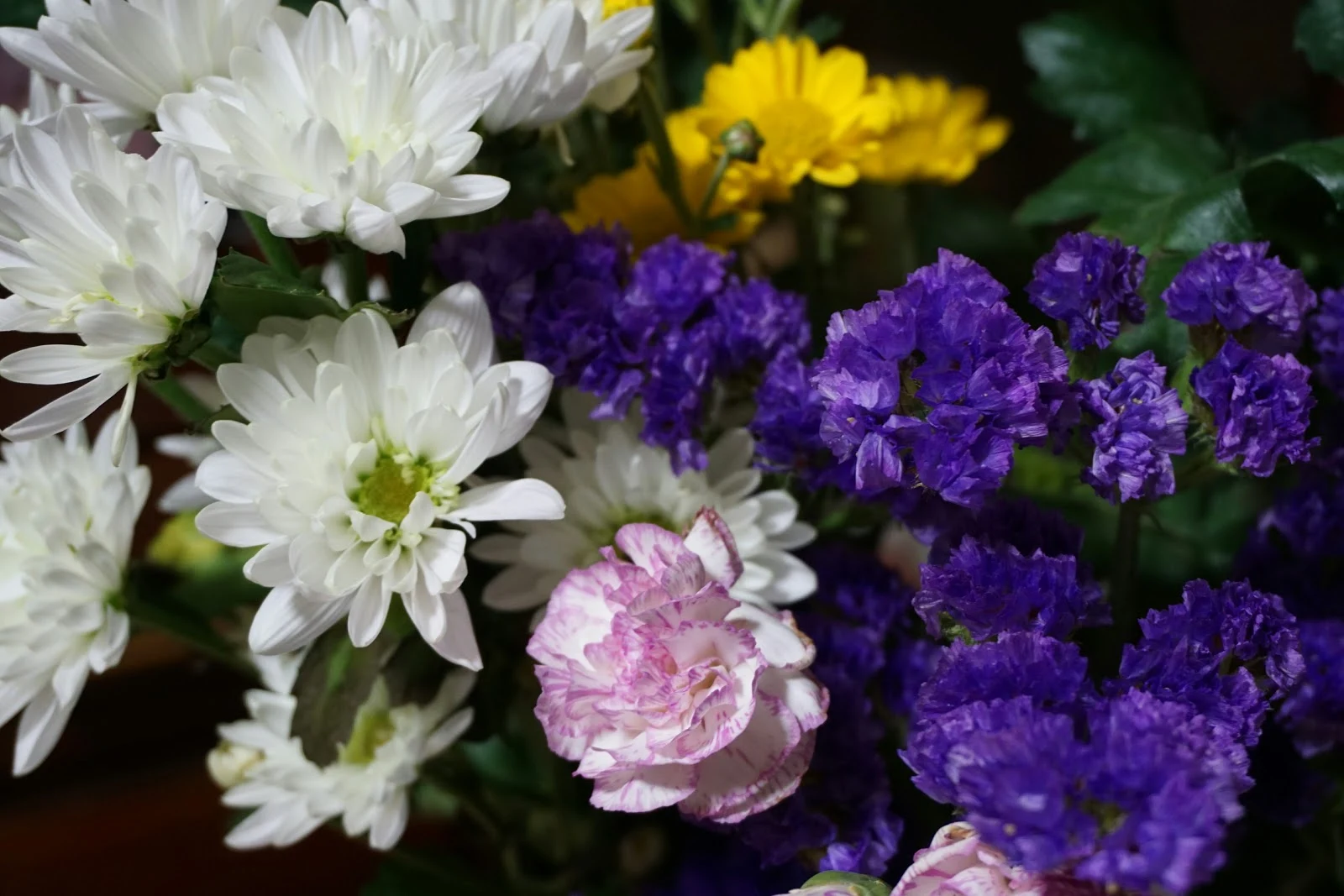 白と紫とピンクと黄色の小さめの花々