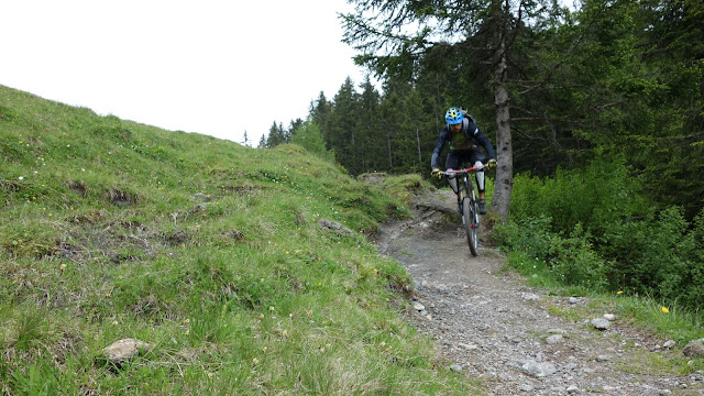 Mountainbiken Gaisberg Mountainbiken Wiege