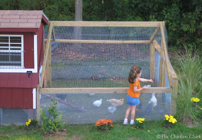 The Chicken Chick®: When to Move Chicks from Brooder to Chicken Coop