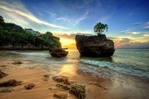 Things That You Can Visit in Bali Island